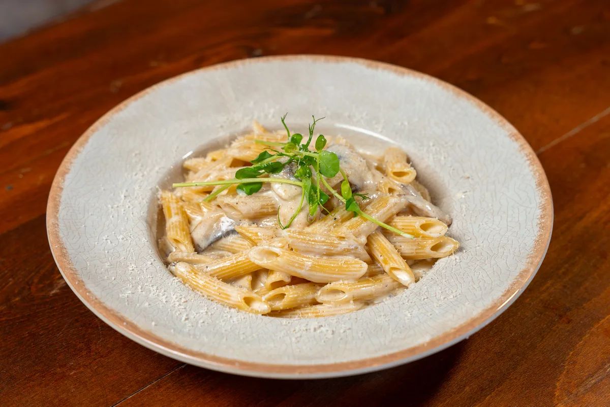 Penne Alfredo
